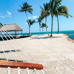 Meet your Posher, Hayden